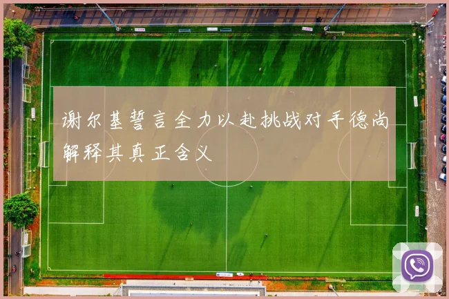 谢尔基誓言全力以赴挑战对手德尚解释其真正含义