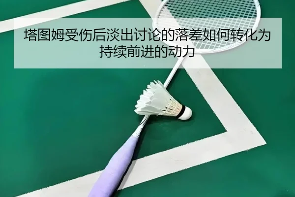 塔图姆受伤后淡出讨论的落差如何转化为持续前进的动力(xingkong)